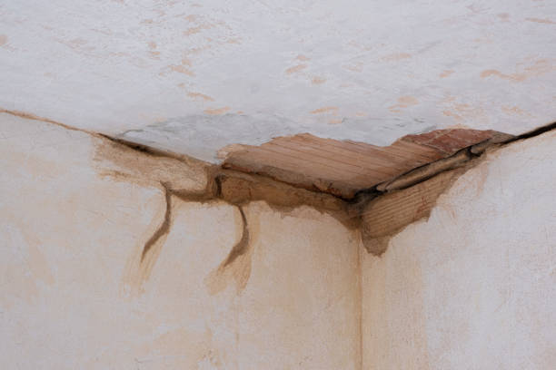 Best Local water damage restoration  in Canton, OH