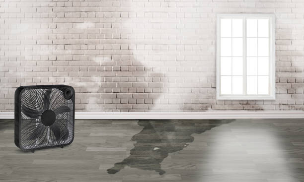 Best Sewage cleanup and water damage restoration  in Canton, OH