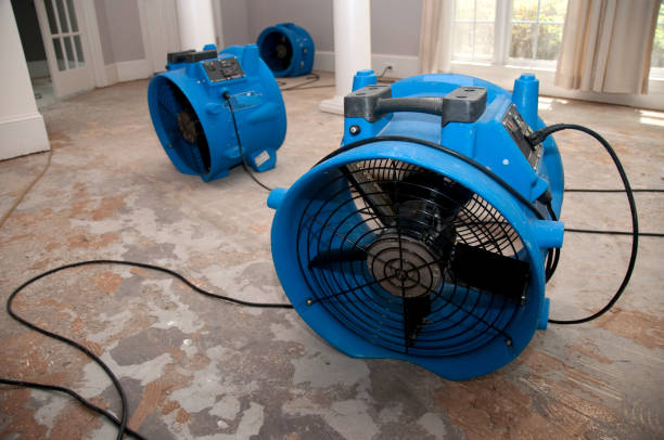 Best Water damage repair service  in Canton, OH