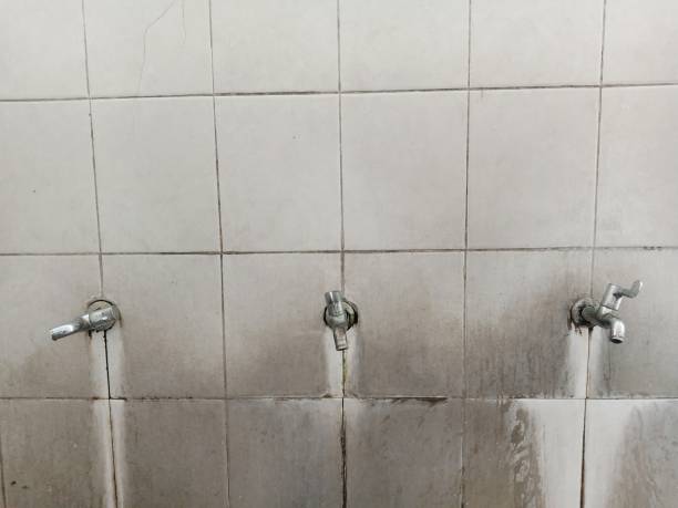 Best Mold removal after water damage  in Canton, OH