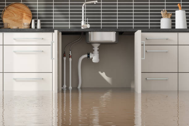Best Carpet water damage restoration  in Canton, OH